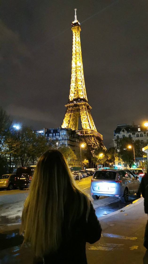 Place Hôtel Mercure Paris Centre Tour Eiffel