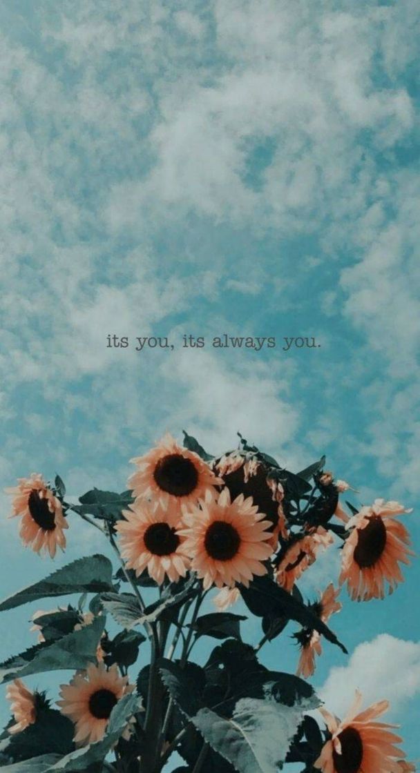 Social Wallpaper