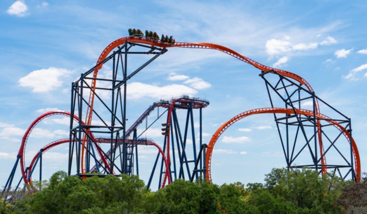 Place Busch Gardens Tampa Bay