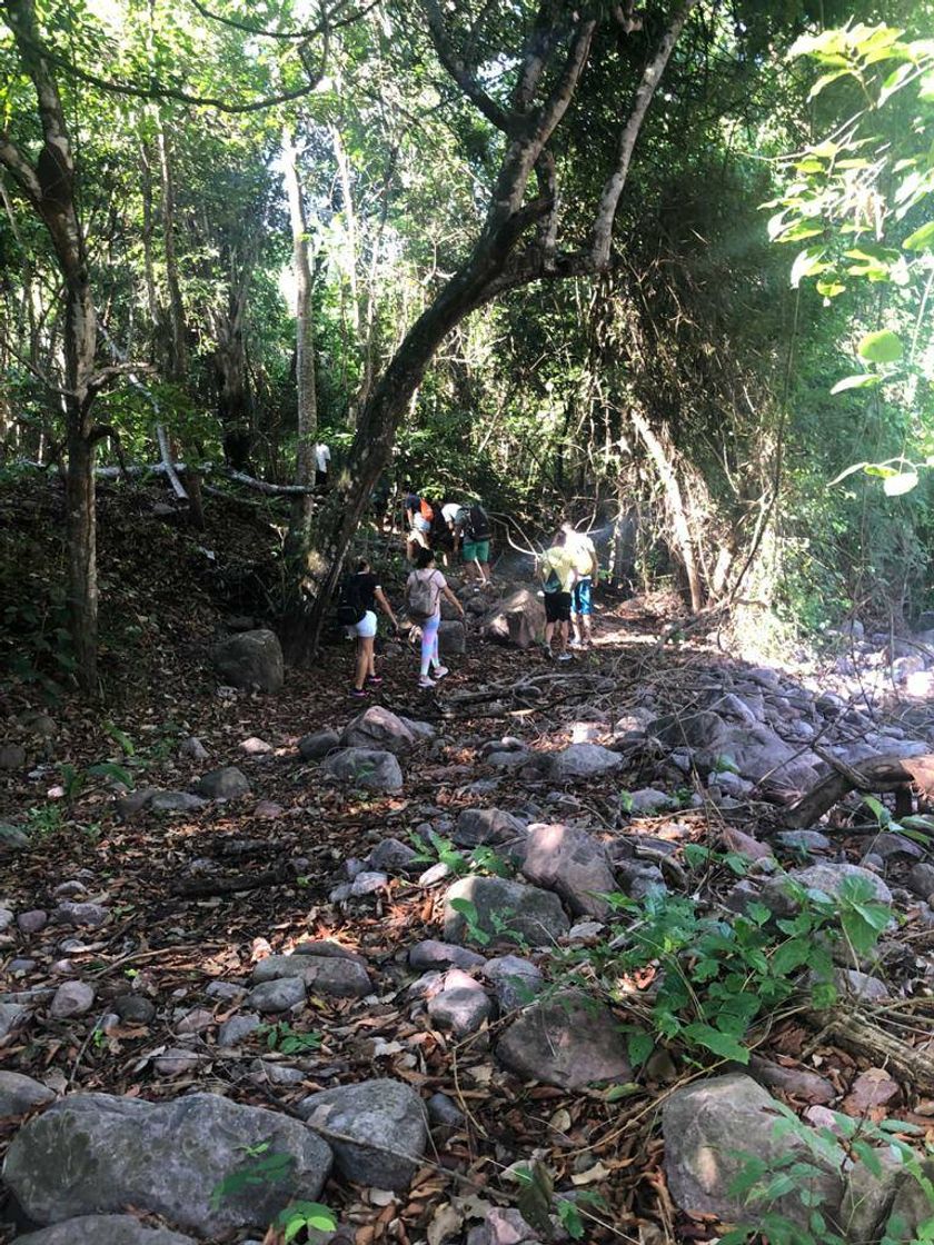 Lugar Vila Bela da Santíssima Trindade