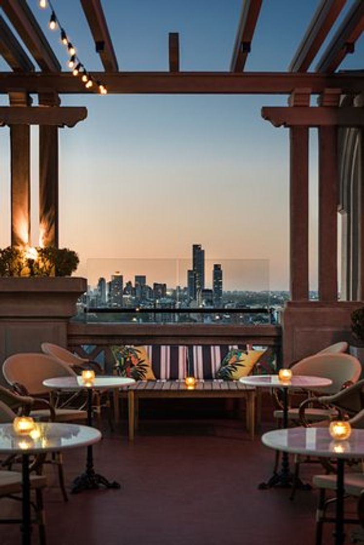 Restaurantes Alvear Roof Bar