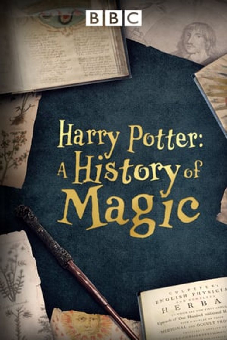 Película Harry Potter: una historia de magia