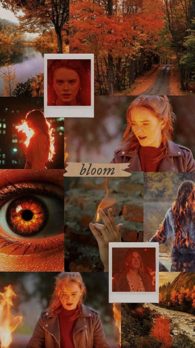 Moda Wallpaper Bloom