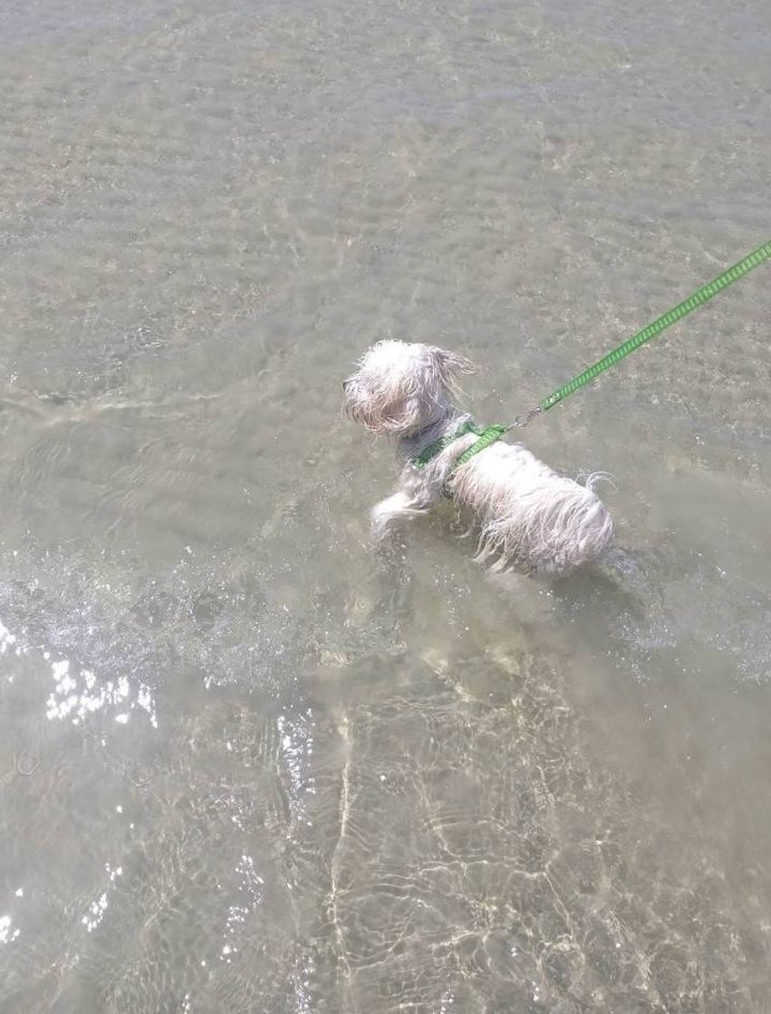 Fashion Caminhando na agua