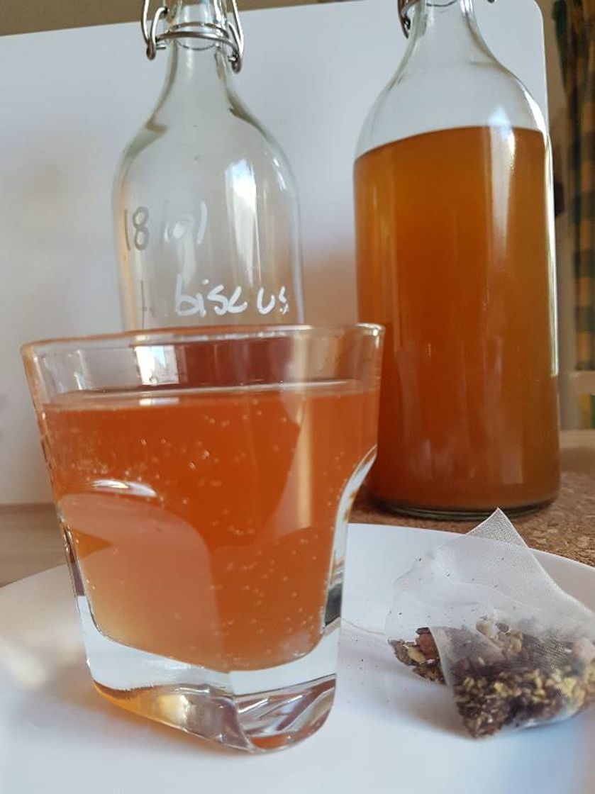 Producto Brew Your Bucha Kobucha SCOBY con Starter Fluid. SCOBY cultivado con azúcar