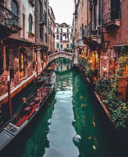 Venecia