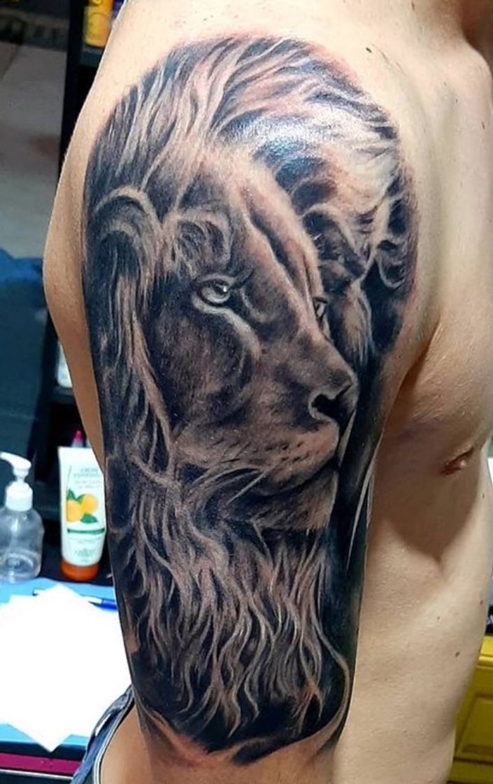 Moda Tatuagem de Leão 