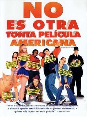 Película No es otra estúpida película americana