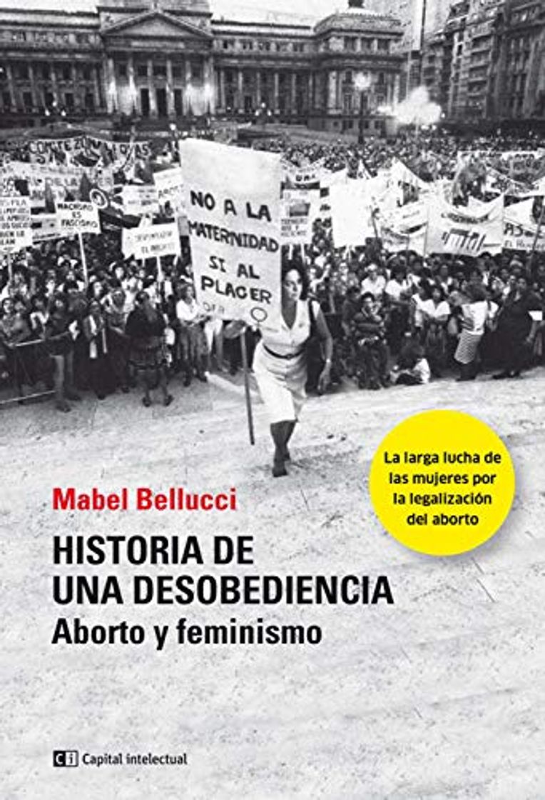 Libro Historia de una desobediencia: Aborto y feminismo