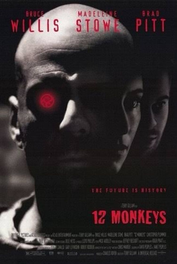 Movies 12 macacos