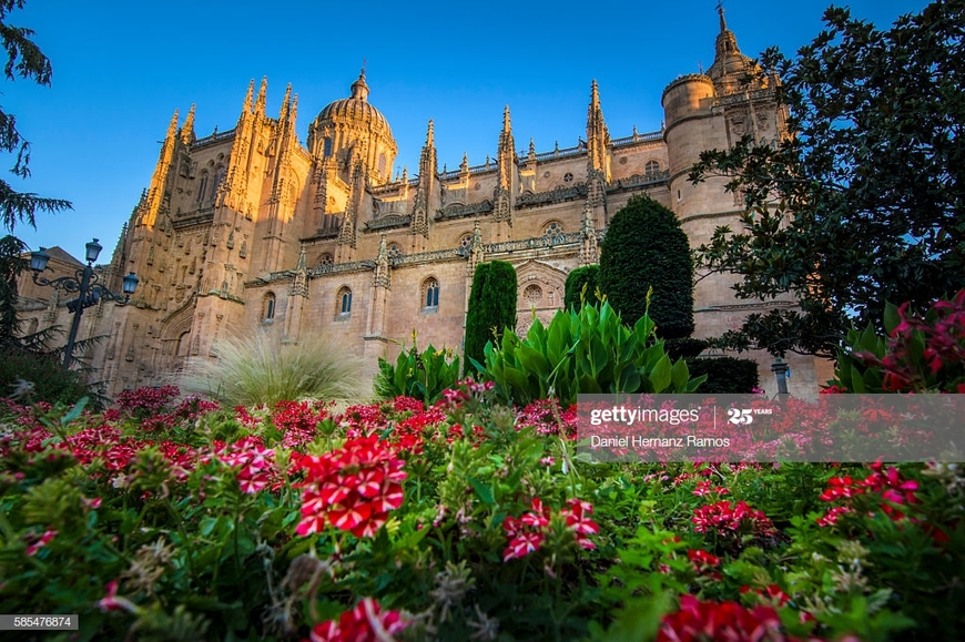 Lugar Catedral de Salamanca