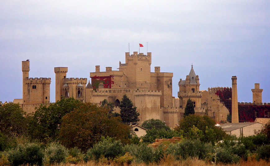 Lugar Palacio Real de Olite