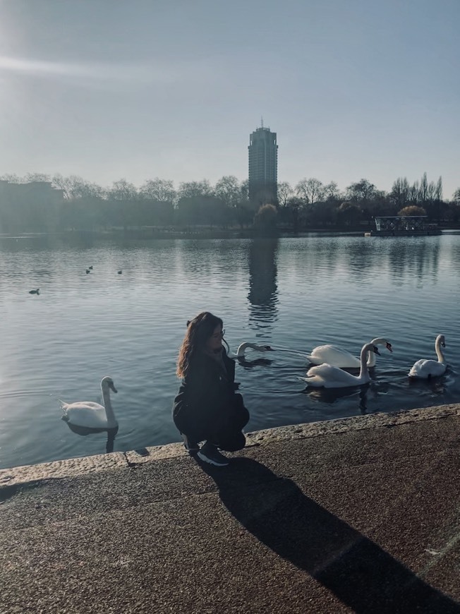 Place Hyde Park