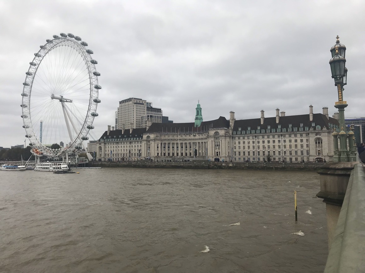 Place London Eye