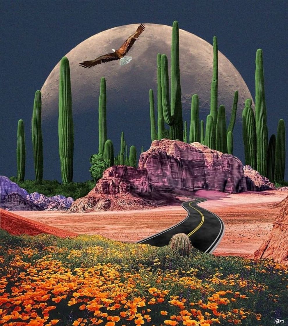 Social 🌵🏜