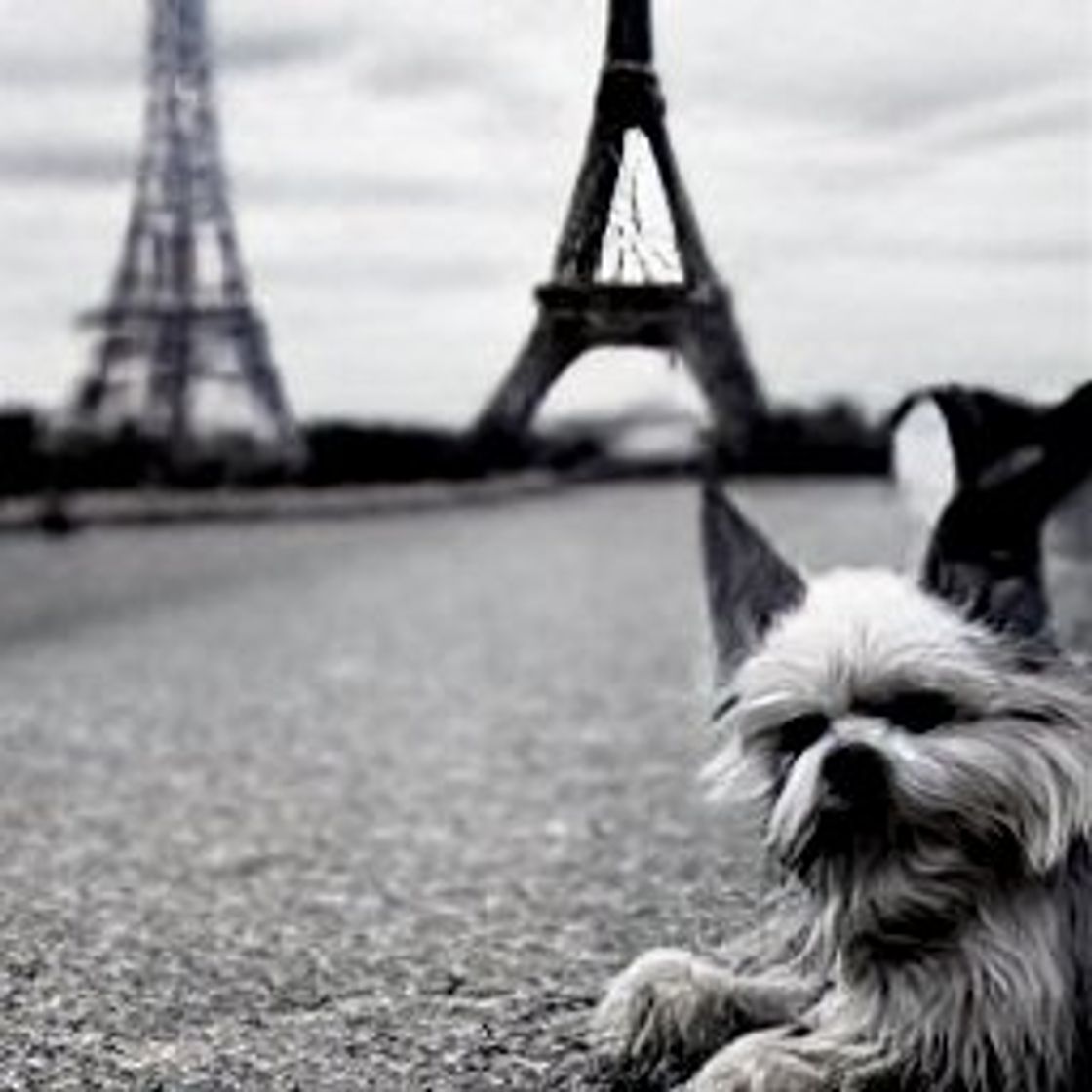 Place Torre Eiffel