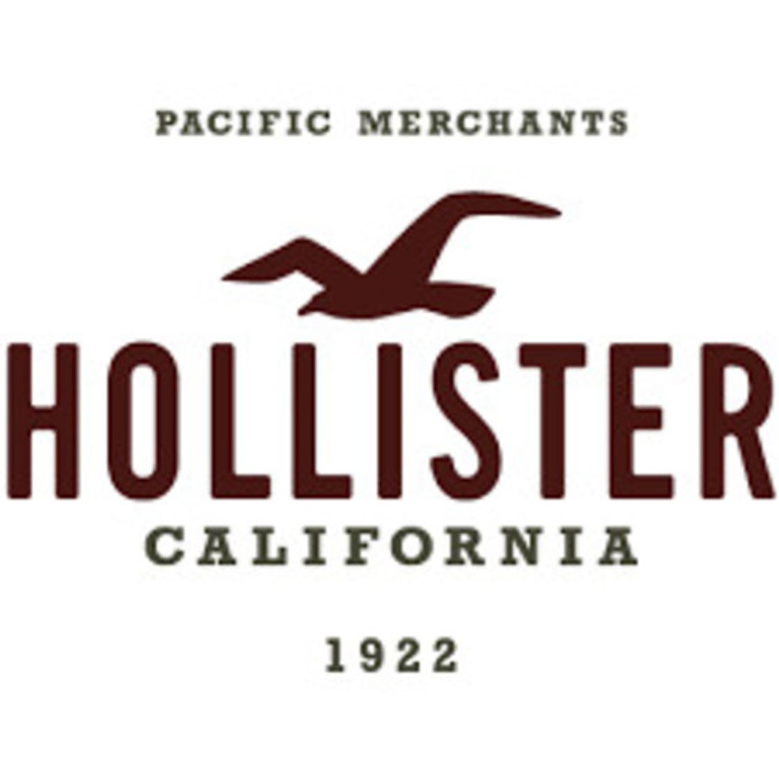 Moda HOLLISTER