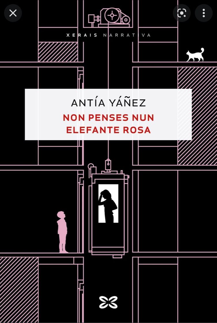 Libro Non penses nun elefante rosa