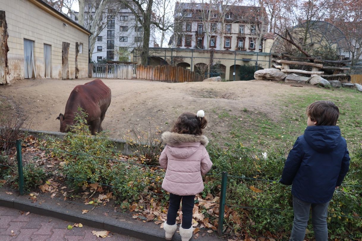 Lugar Zoo Frankfurt