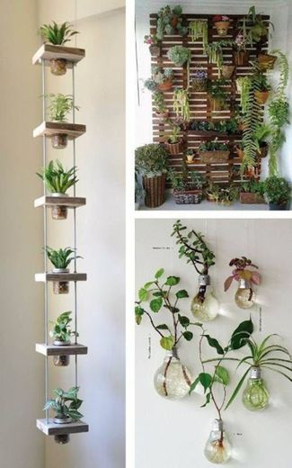 Ideias para decorar com plantas penduradas