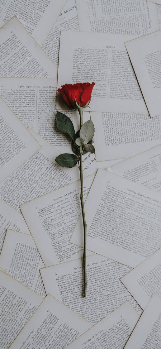 Social Wallpaper