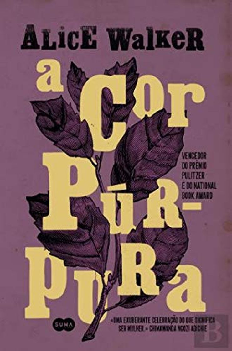 Libro A Cor Púrpura