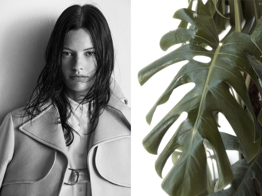 Social ZARA Official Website