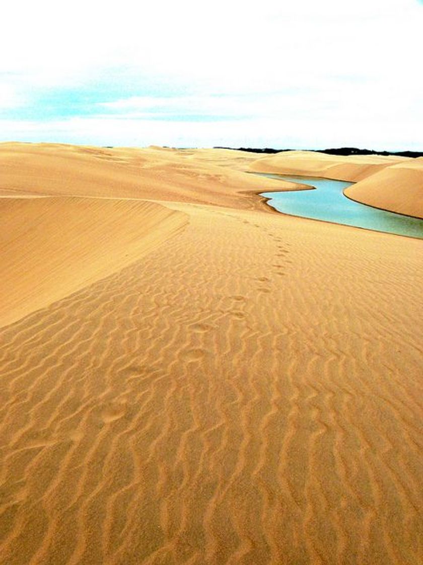 Parque Nacional Médanos De Coro