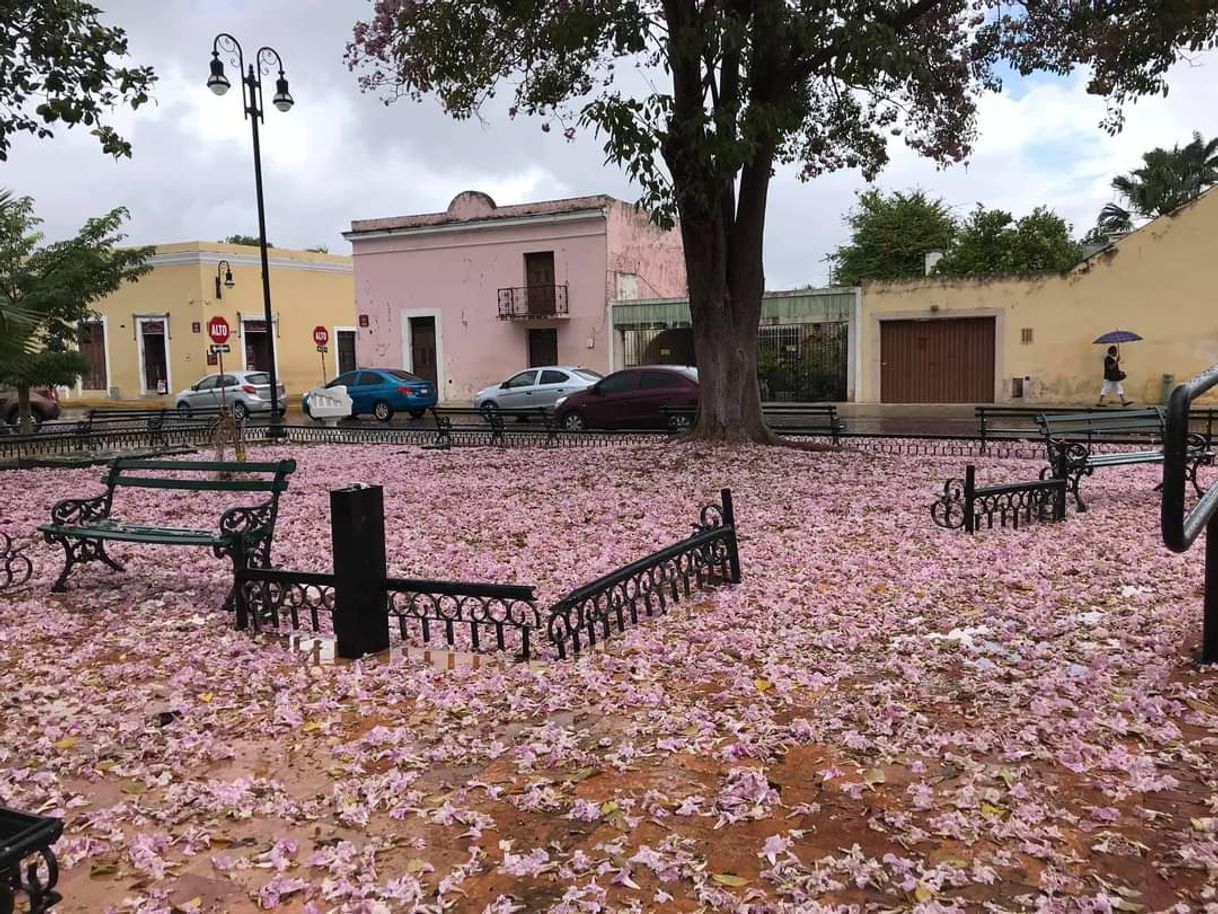 Lugar Mérida