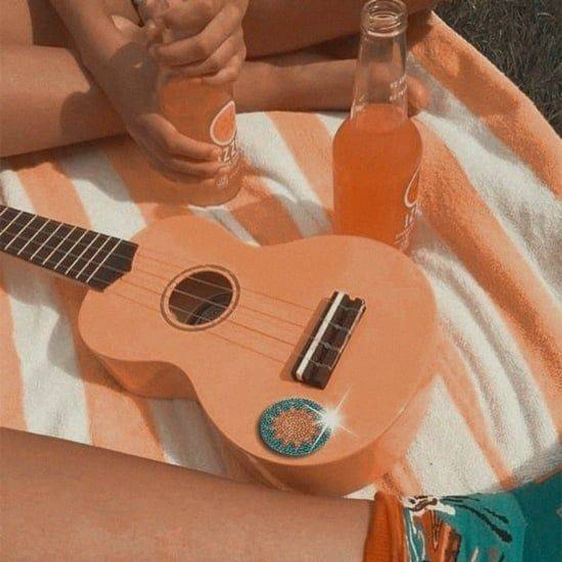 Social Piquenique☀️