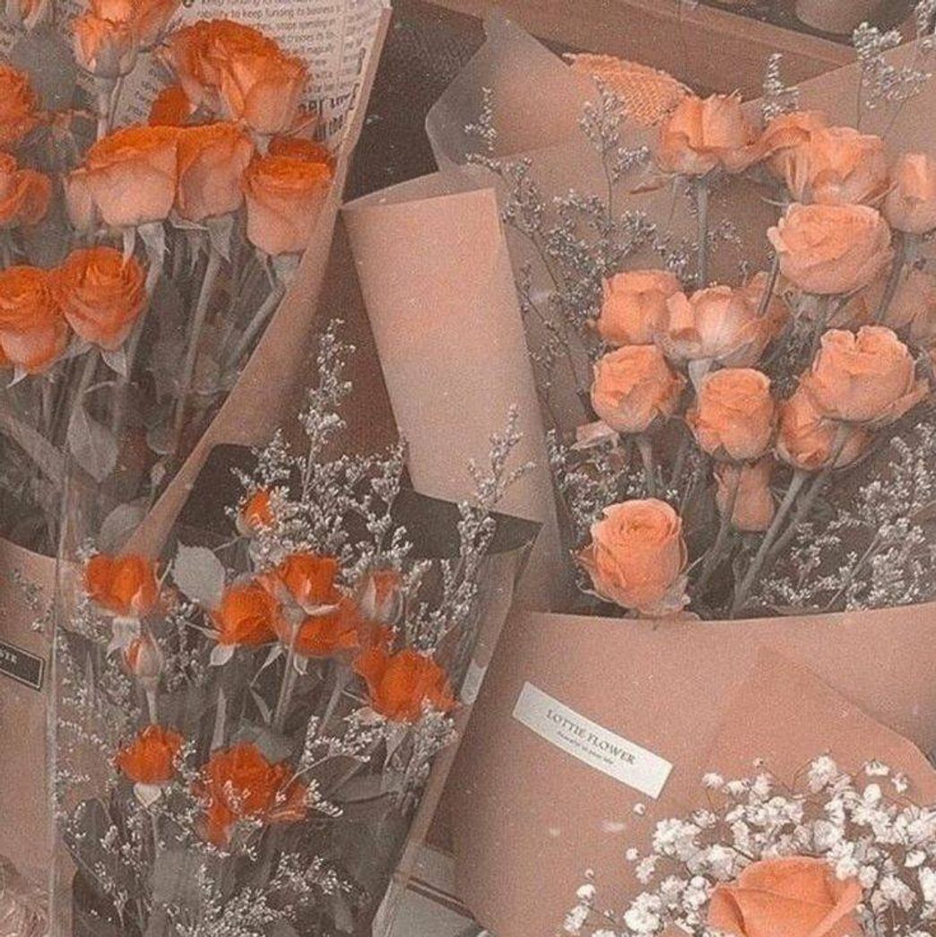 Social Orange flowers🏵️