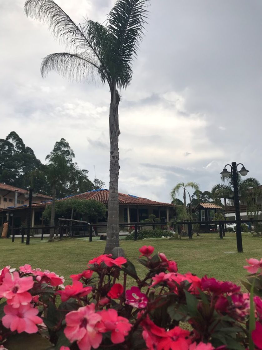 Place Eco Park Hotel Fazenda