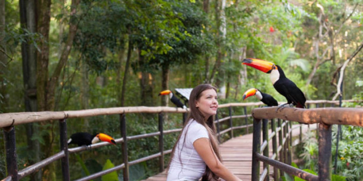 Lugar Parque das Aves