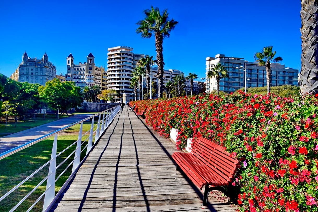 Place Puente de las Flores