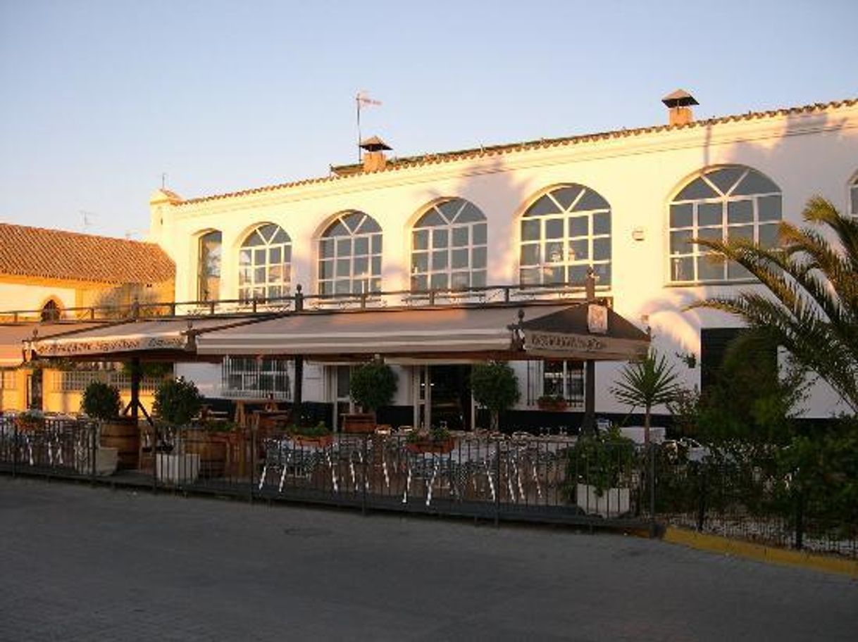 Restaurantes Mirador de Doñana