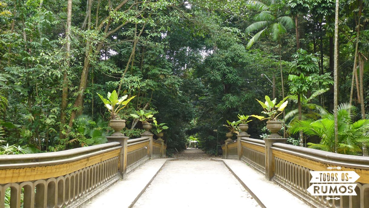 Place Bosque Rodrigues Alves Jardim Zoobotânico da Amazônia