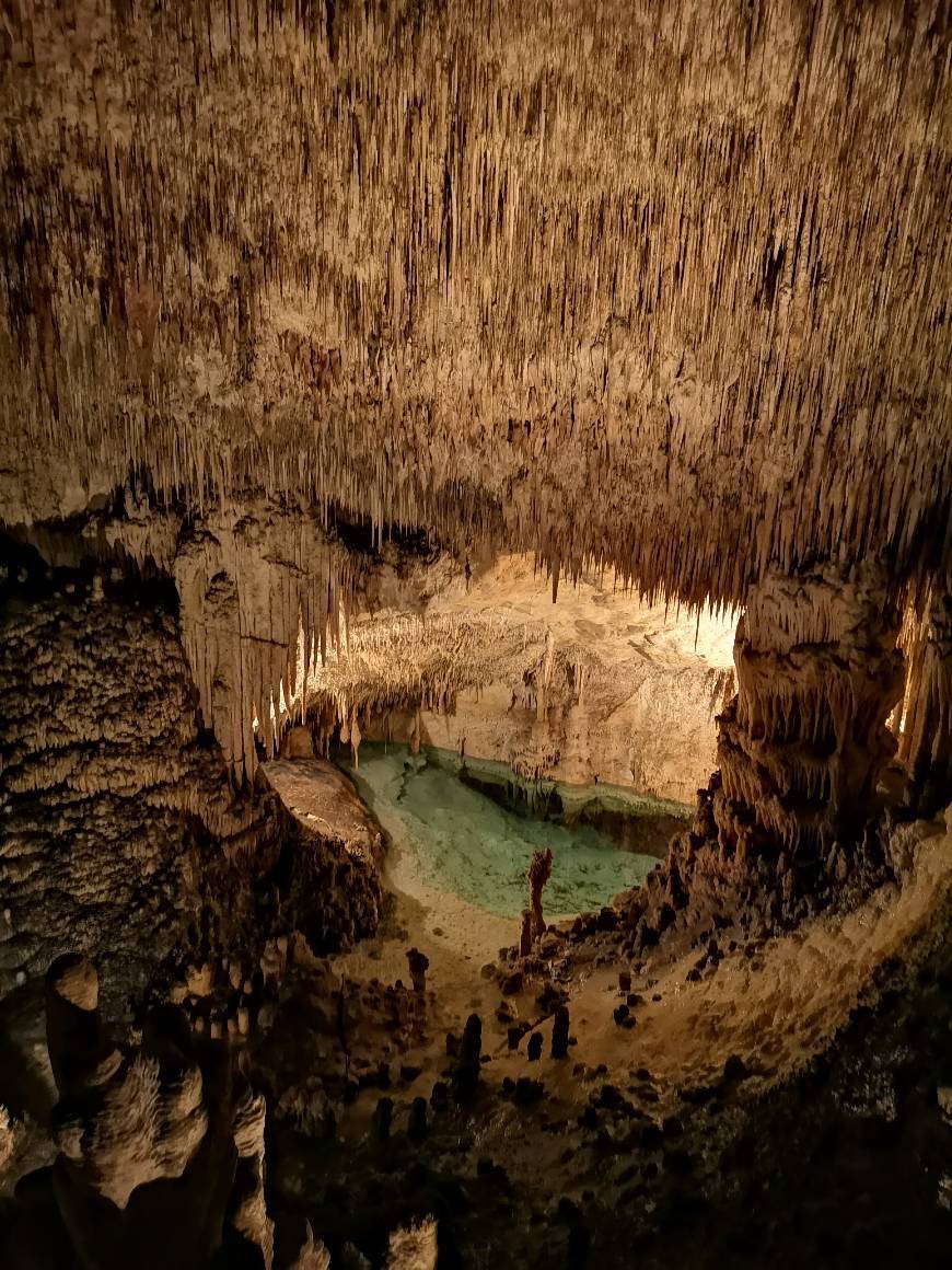 Lugar Cuevas del Drach