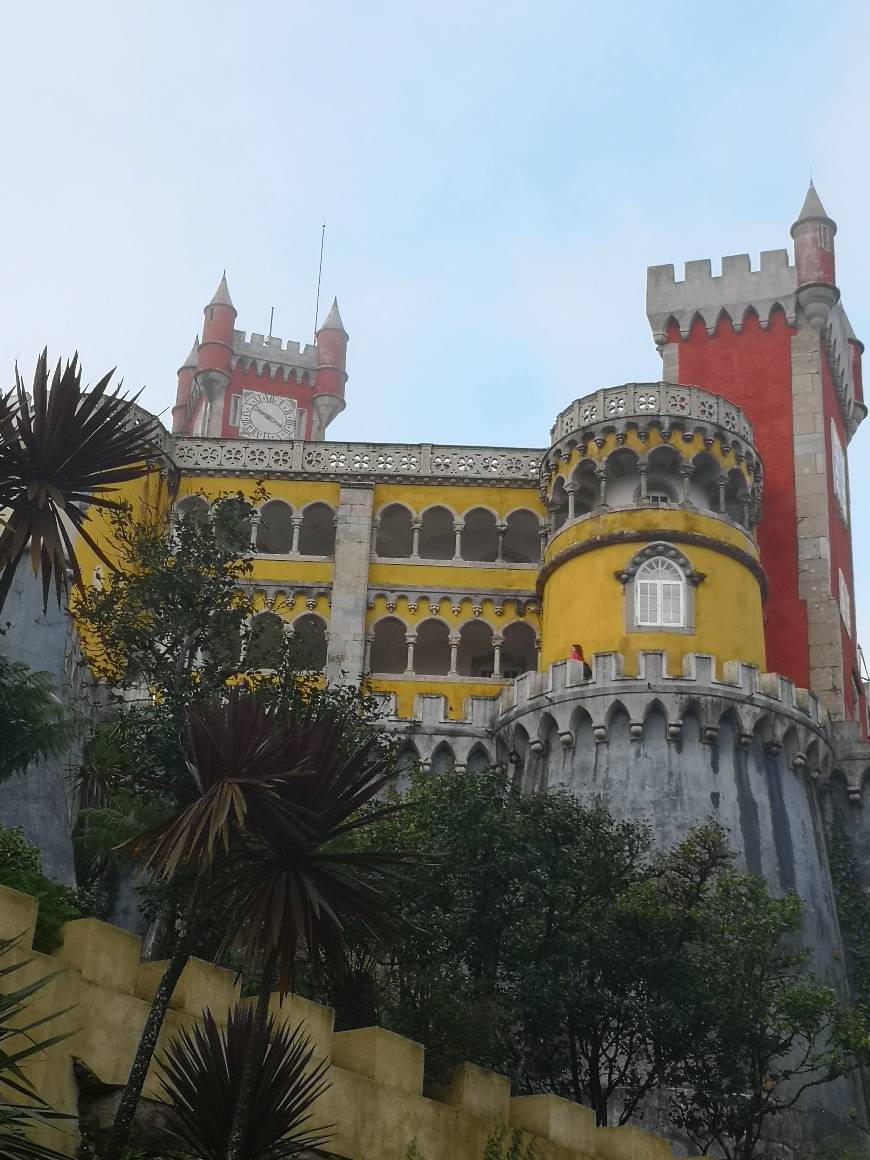 Lugar Palacio da Pena