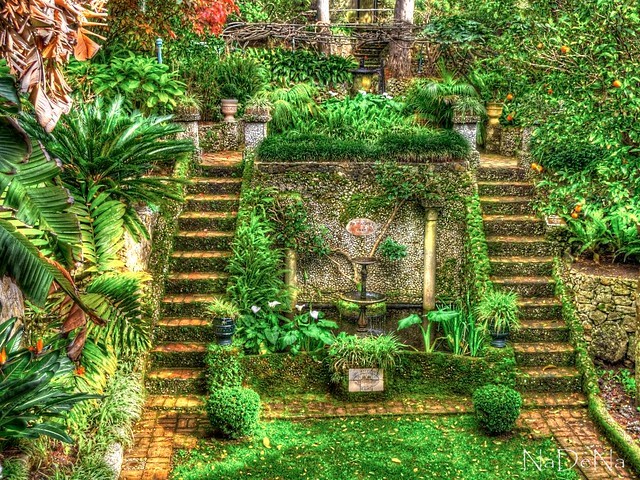 Lugar Jardines Botánicos de Gibraltar