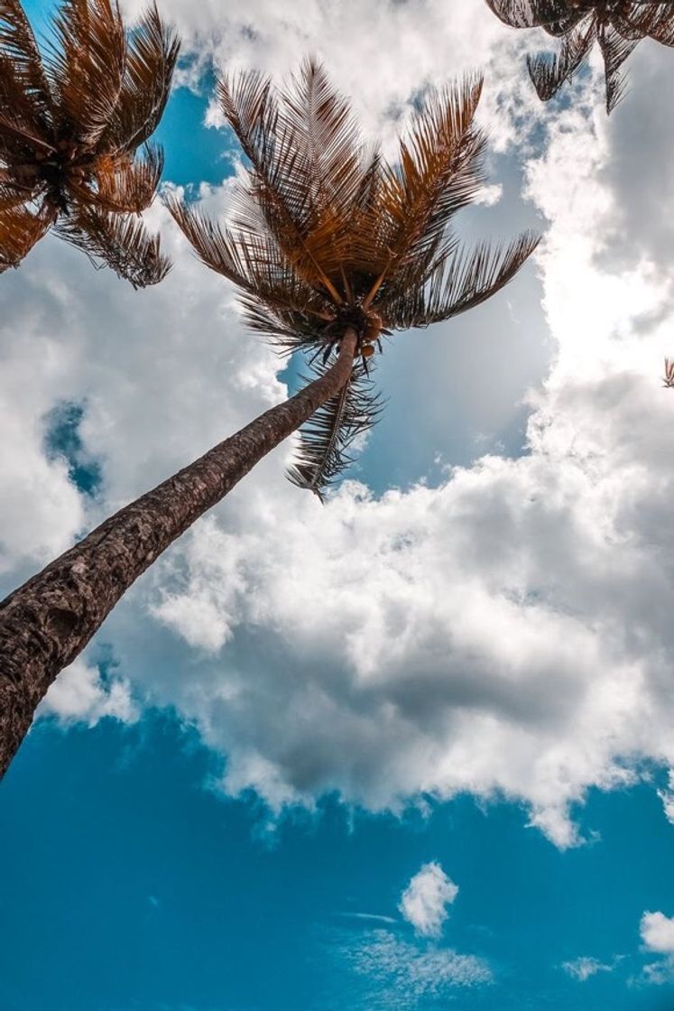 Social Céu calmo 