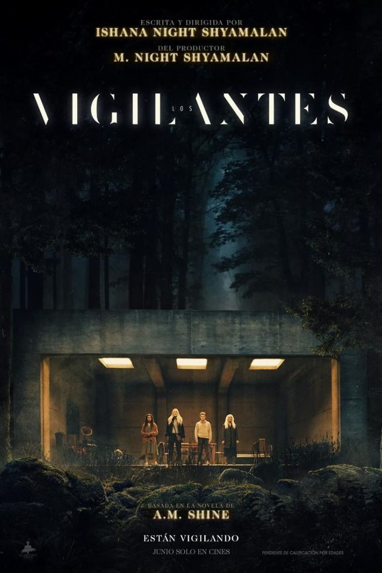 Movie Los vigilantes