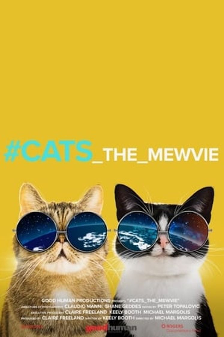 Movie #cats_the_mewvie