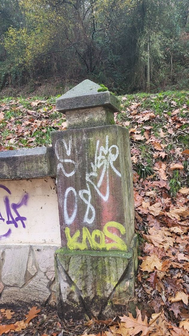 Social Kaos