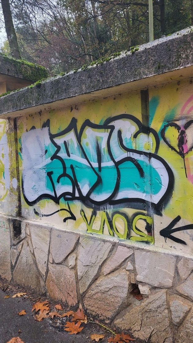 Social Rosa Kaos