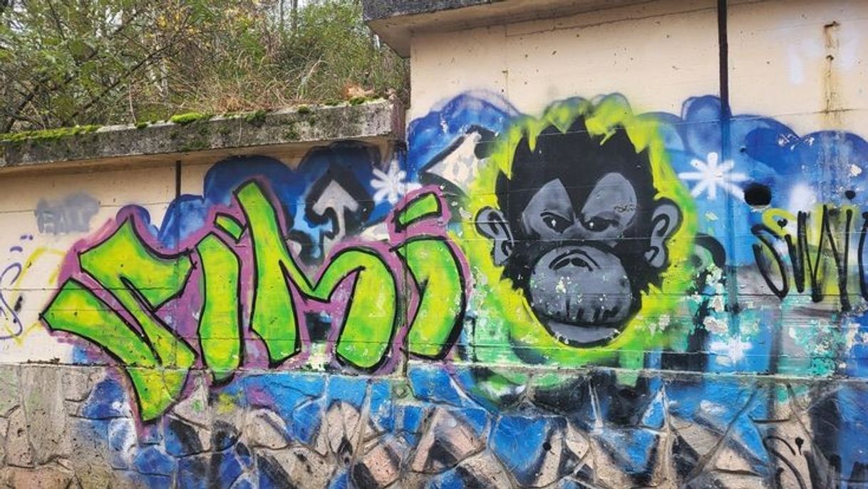 Social Simio