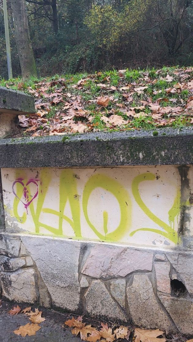 Social Kaos