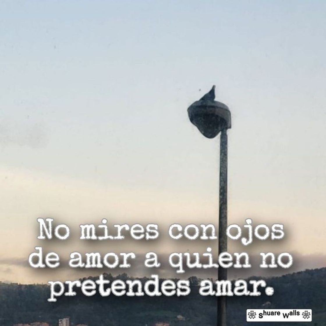 Ojos de amor