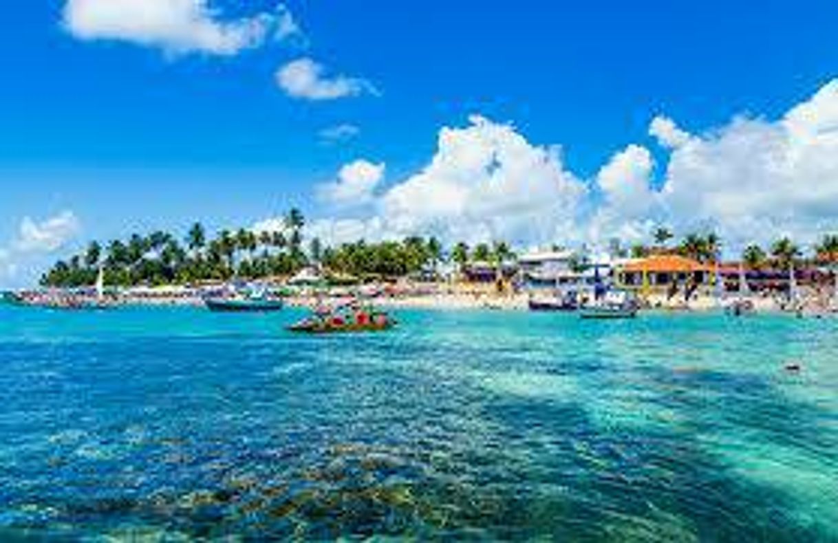 Moda Porto de Galinhas PE 🌵