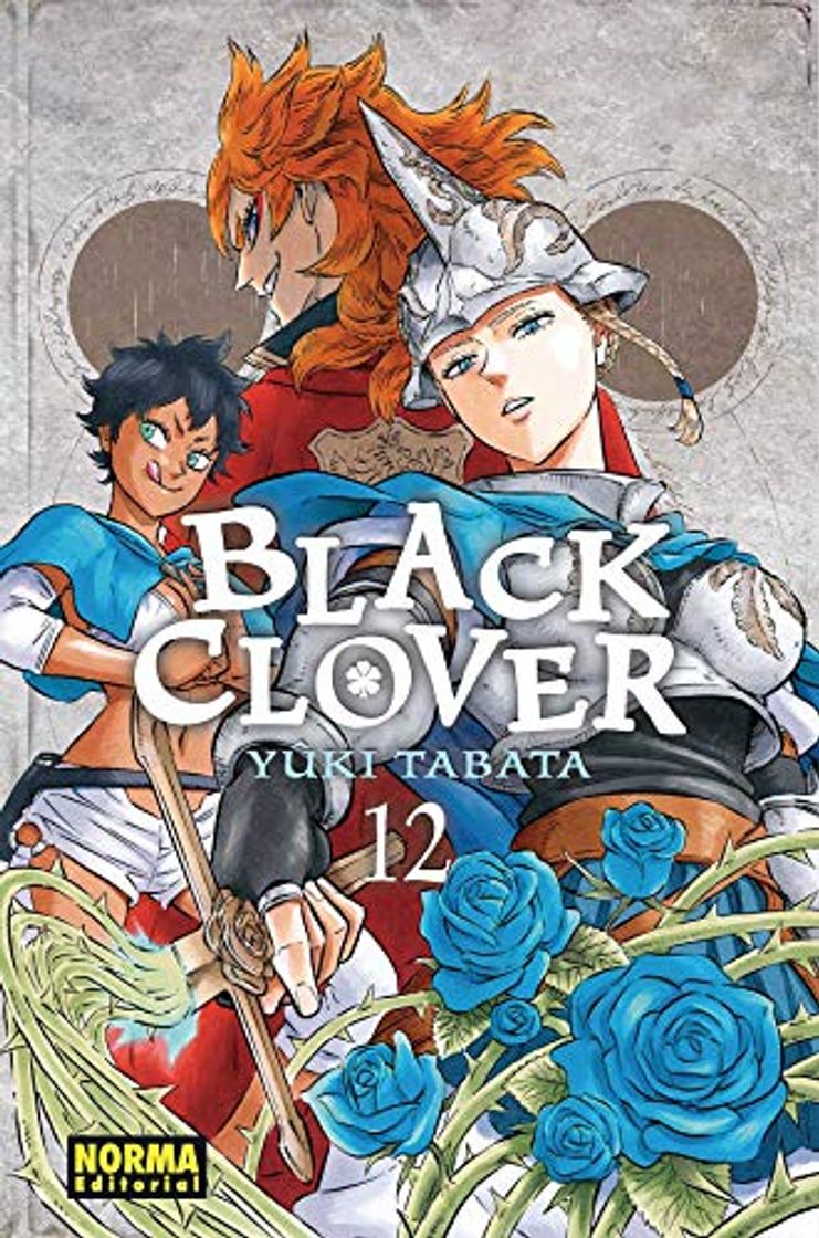 Book Black Clover 12