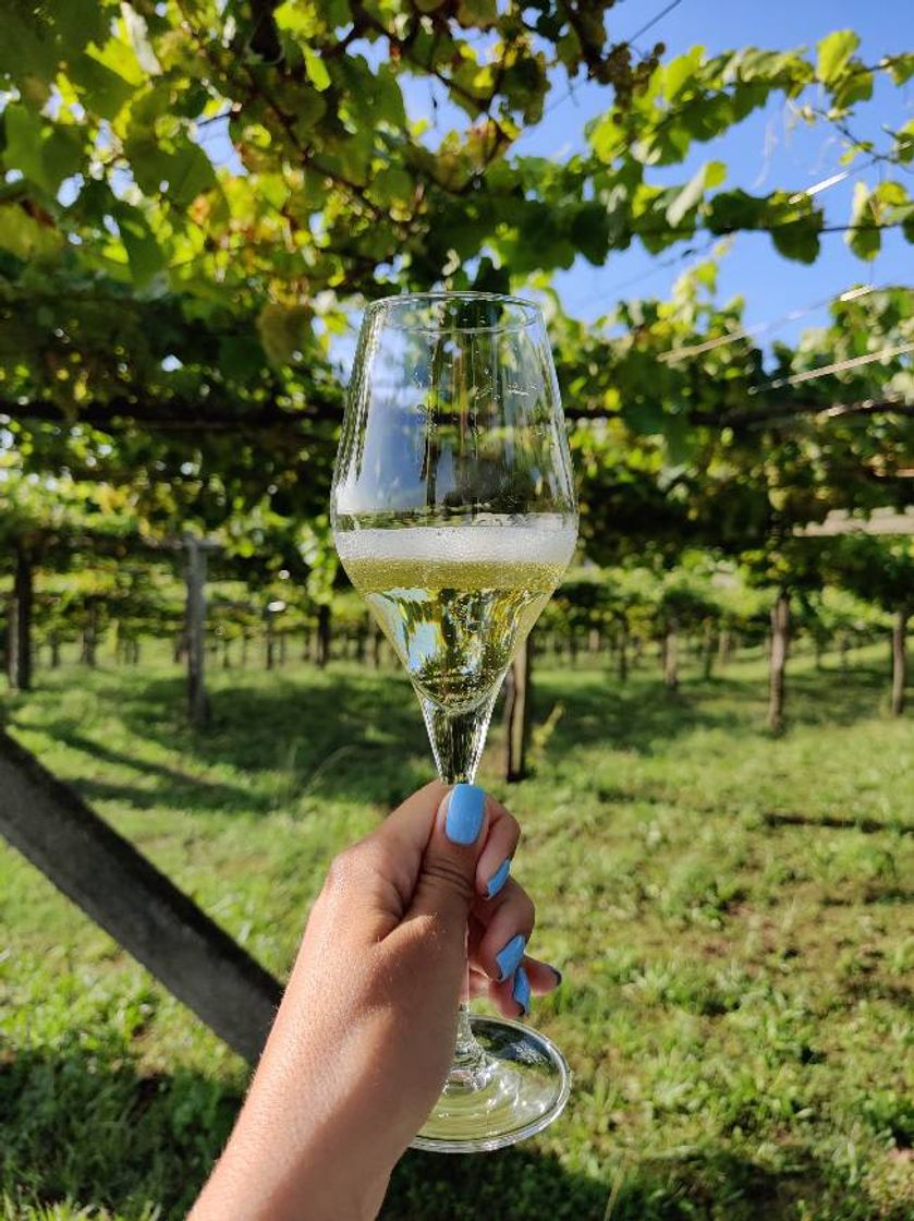 Lugar Bodegas Martín Códax